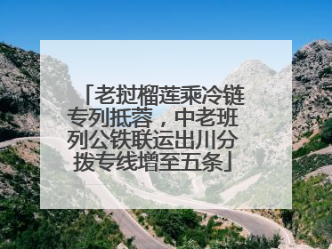 老挝榴莲乘冷链专列抵蓉，中老班列公铁联运出川分拨专线增至五条