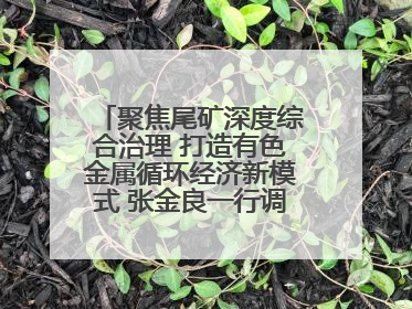 聚焦尾矿深度综合治理 打造有色金属循环经济新模式 张金良一行调研栾川县尾矿库综合治理工作