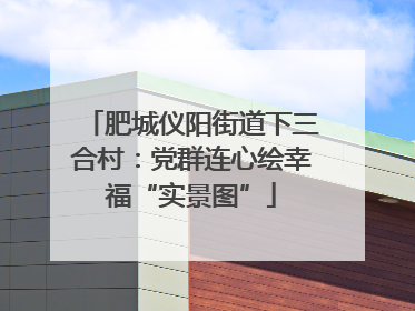 肥城仪阳街道下三合村：党群连心绘幸福“实景图”