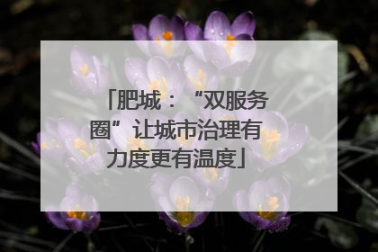 肥城：“双服务圈”让城市治理有力度更有温度