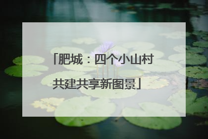 肥城：四个小山村共建共享新图景