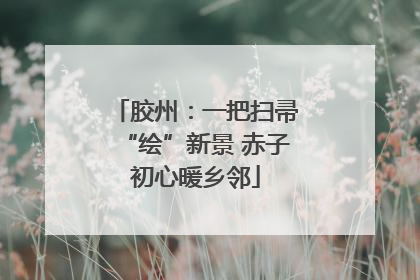 胶州：一把扫帚“绘”新景 赤子初心暖乡邻