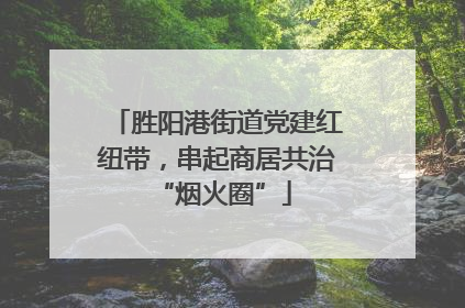 胜阳港街道党建红纽带，串起商居共治 “烟火圈”