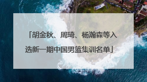 胡金秋、周琦、杨瀚森等入选新一期中国男篮集训名单
