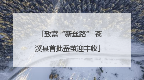致富“新丝路” 苍溪县首批蚕茧迎丰收