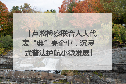芦淞检察联合人大代表“典”亮企业，沉浸式普法护航小微发展