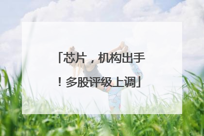 芯片，机构出手！多股评级上调