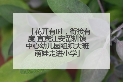 花开有时，衔接有度 宜宾江安留耕镇中心幼儿园组织大班萌娃走进小学
