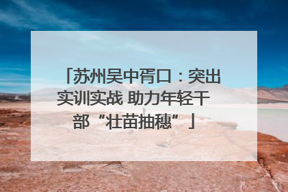 苏州吴中胥口：突出实训实战 助力年轻干部“壮苗抽穗”