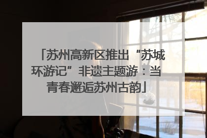苏州高新区推出“苏城环游记”非遗主题游：当青春邂逅苏州古韵