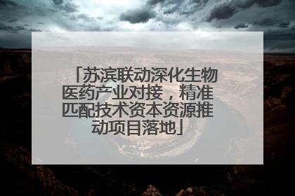 苏滨联动深化生物医药产业对接，精准匹配技术资本资源推动项目落地