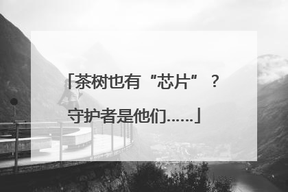 茶树也有“芯片”？守护者是他们……