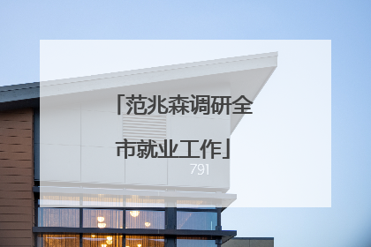 范兆森调研全市就业工作
