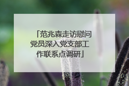 范兆森走访慰问党员深入党支部工作联系点调研