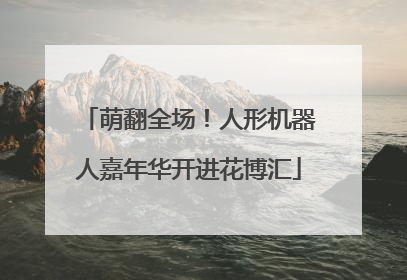 萌翻全场！人形机器人嘉年华开进花博汇