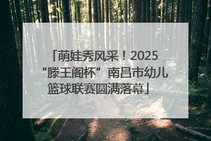 萌娃秀风采！2025“滕王阁杯”南昌市幼儿篮球联赛圆满落幕