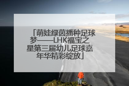 萌娃绿茵播种足球梦——LHK福宝之星第三届幼儿足球嘉年华精彩绽放