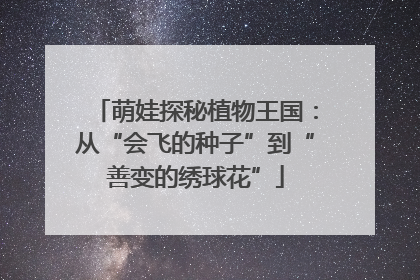 萌娃探秘植物王国：从“会飞的种子”到“善变的绣球花”