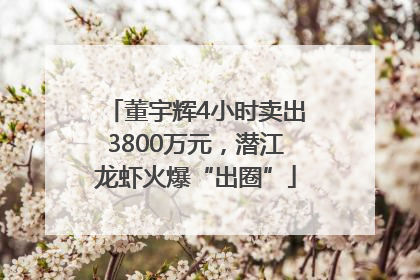 董宇辉4小时卖出3800万元，潜江龙虾火爆“出圈”
