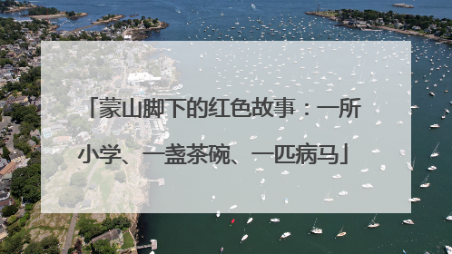 蒙山脚下的红色故事：一所小学、一盏茶碗、一匹病马
