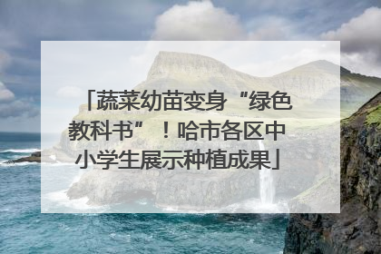 蔬菜幼苗变身“绿色教科书”！哈市各区中小学生展示种植成果