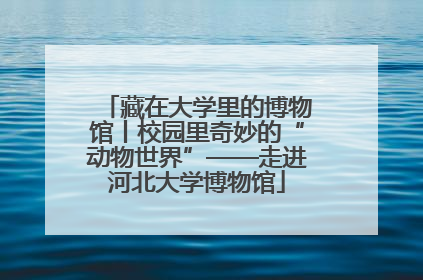 藏在大学里的博物馆丨校园里奇妙的“动物世界”——走进河北大学博物馆