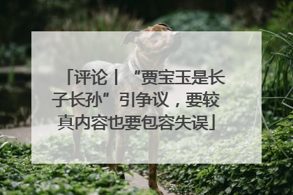 评论丨“贾宝玉是长子长孙”引争议，要较真内容也要包容失误