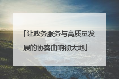 让政务服务与高质量发展的协奏曲响彻大地