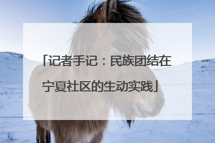 记者手记：民族团结在宁夏社区的生动实践