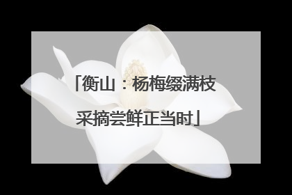 衡山：杨梅缀满枝 采摘尝鲜正当时