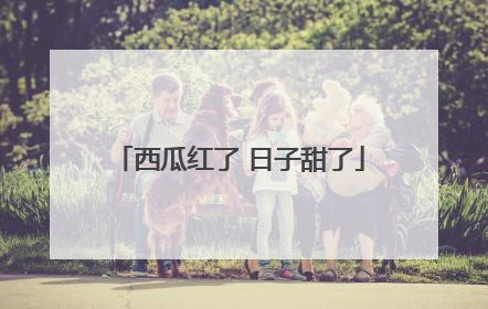 西瓜红了 日子甜了