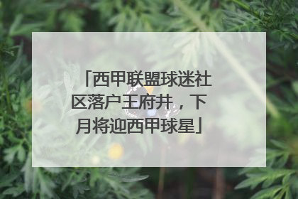 西甲联盟球迷社区落户王府井，下月将迎西甲球星