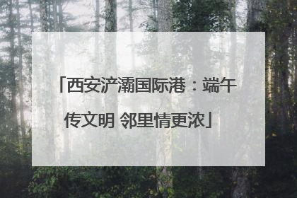 西安浐灞国际港：端午传文明 邻里情更浓