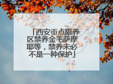 西安重点限养区禁养金毛萨摩耶等，禁养未必不是一种保护