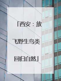 西安：放飞野生鸟类回归自然