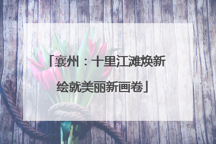 襄州:十里江滩焕新 绘就美丽新画卷
