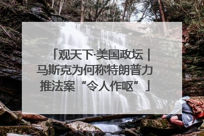 观天下·美国政坛｜马斯克为何称特朗普力推法案“令人作呕”