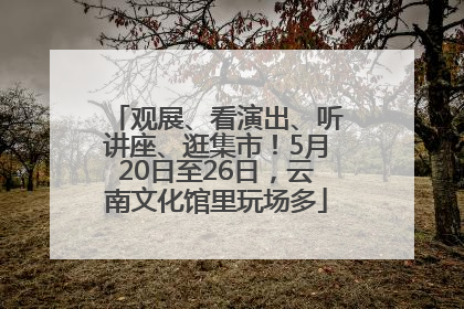 观展、看演出、听讲座、逛集市！5月20日至26日，云南文化馆里玩场多