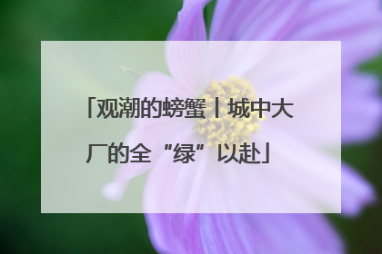 观潮的螃蟹丨城中大厂的全“绿”以赴