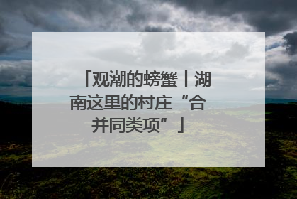 观潮的螃蟹丨湖南这里的村庄“合并同类项”