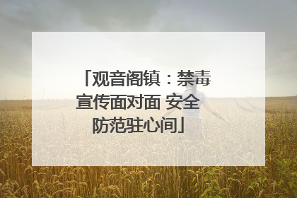 观音阁镇：禁毒宣传面对面 安全防范驻心间
