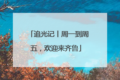 追光记丨周一到周五，欢迎来齐鲁