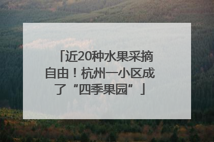 近20种水果采摘自由！杭州一小区成了“四季果园”