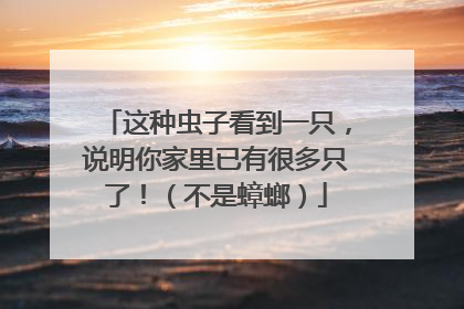 这种虫子看到一只，说明你家里已有很多只了！（不是蟑螂）