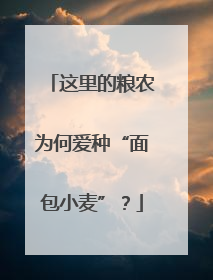 这里的粮农为何爱种“面包小麦”？