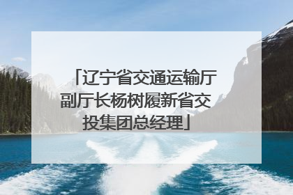 辽宁省交通运输厅副厅长杨树履新省交投集团总经理