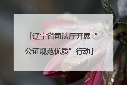 辽宁省司法厅开展“公证规范优质”行动