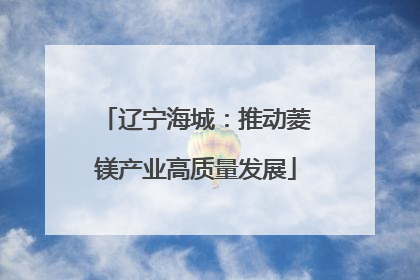 辽宁海城：推动菱镁产业高质量发展