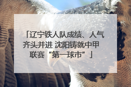 辽宁铁人队成绩、人气齐头并进 沈阳铸就中甲联赛“第一球市”