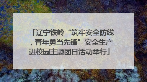 辽宁铁岭“筑牢安全防线，青年勇当先锋”安全生产进校园主题团日活动举行